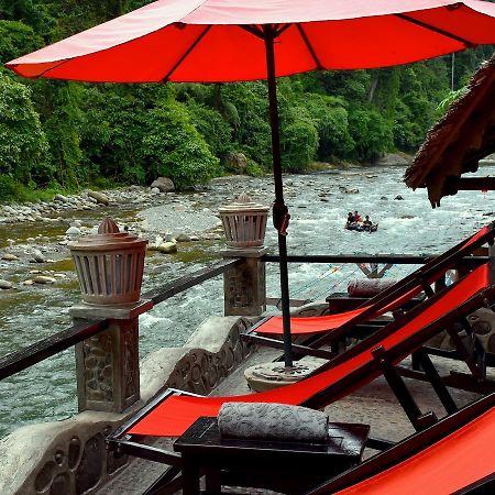 Ecotravel Cottages Bukit Lawang Luaran gambar