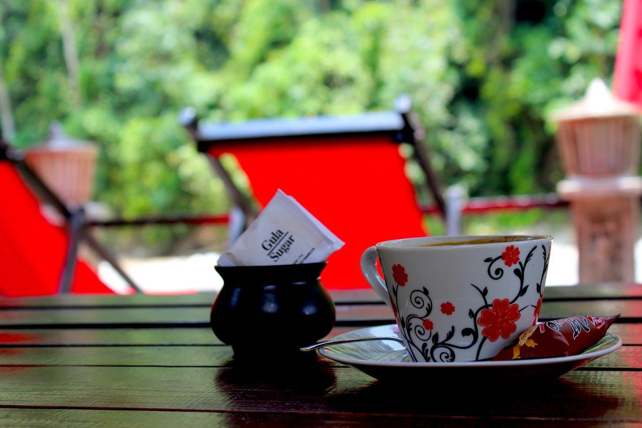 Ecotravel Cottages Bukit Lawang Luaran gambar