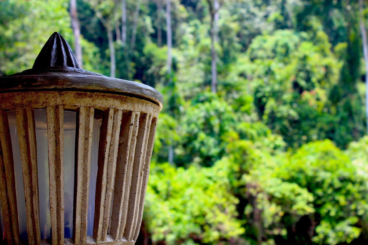 Ecotravel Cottages Bukit Lawang Luaran gambar