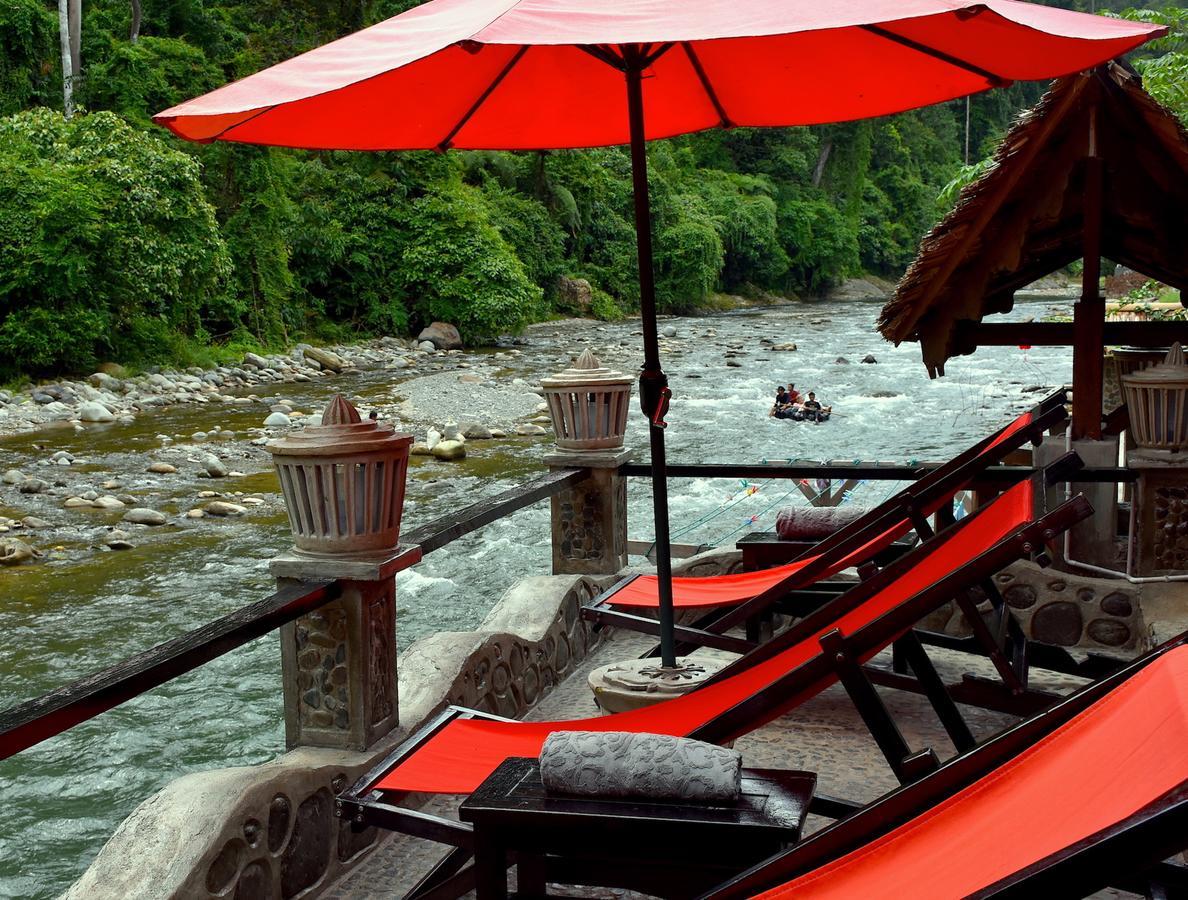 Ecotravel Cottages Bukit Lawang Luaran gambar