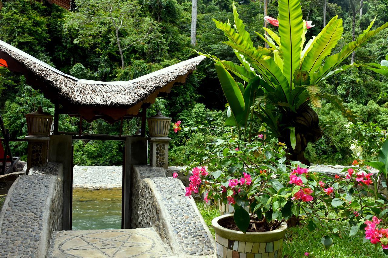 Ecotravel Cottages Bukit Lawang Luaran gambar