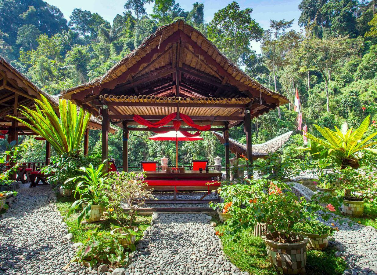 Ecotravel Cottages Bukit Lawang Luaran gambar
